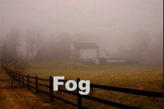 Fog